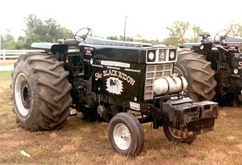 The Black Widow
Rattle & Snap Farms