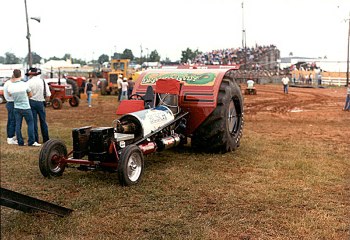 Dusty Arfons
Dragon Lady